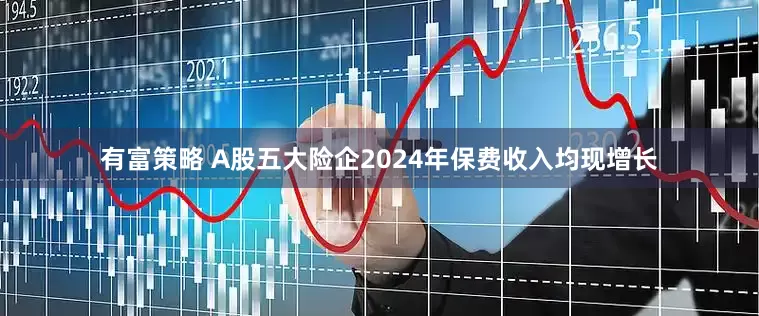 有富策略 A股五大险企2024年保费收入均现增长