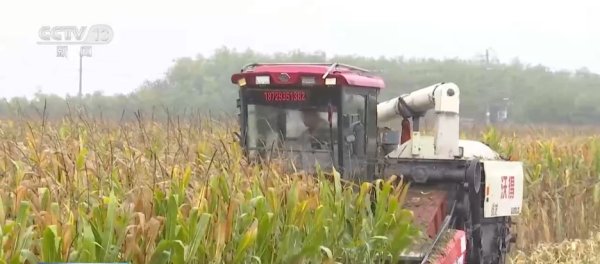瑞和网 “干”字当头！各地多举措保“三秋”生产&#32;全力守护群众“粮袋子”