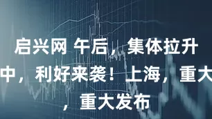 启兴网 午后，集体拉升！盘中，利好来袭！上海，重大发布